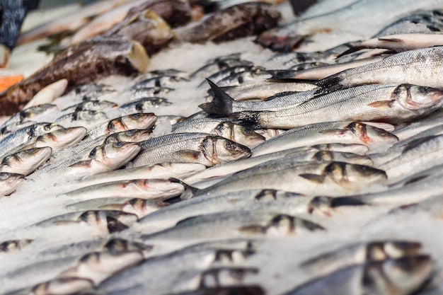 Pescado de mar fresco en hielo en un mostrador en el mercado