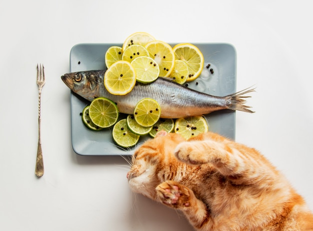 Foto pescado de mar con limones y tenedor con gato jengibre sobre superficie blanca. vista superior