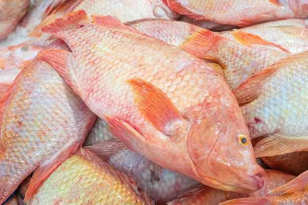 Pescado rubí en el mercado fresco