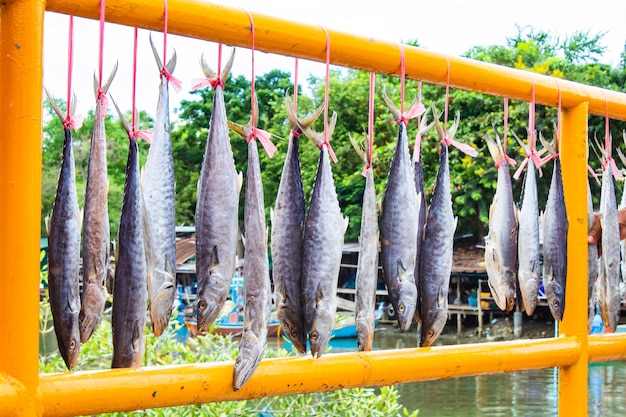 Pescado salado que es la luz del sol y el cielo.