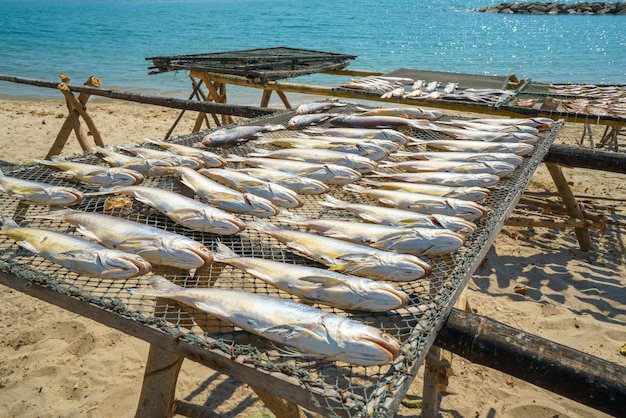 Foto pescado secado al sol y frito en el pueblo pesquero