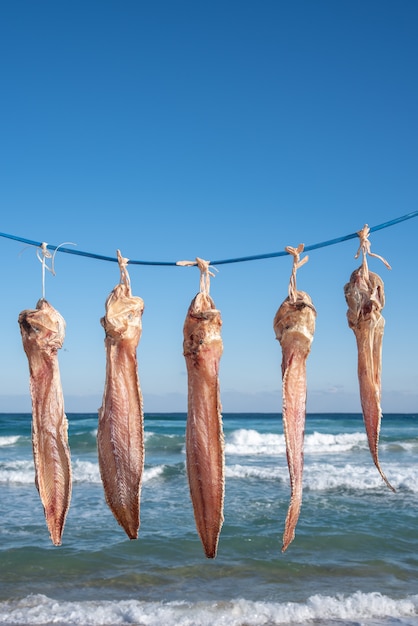 Pescado secado al viento del mar en la playa.