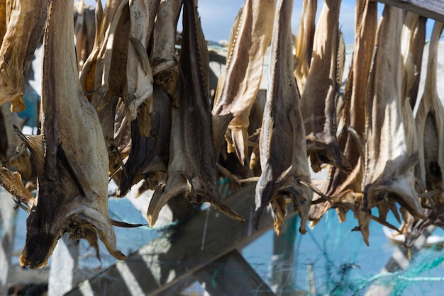 Pescado seco noruego sobre fondo de secador hd