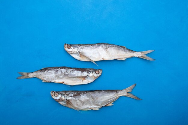 Pescado seco salado sobre fondo azul Sabrefish Pelecus cultratus popular aperitivo de cerveza