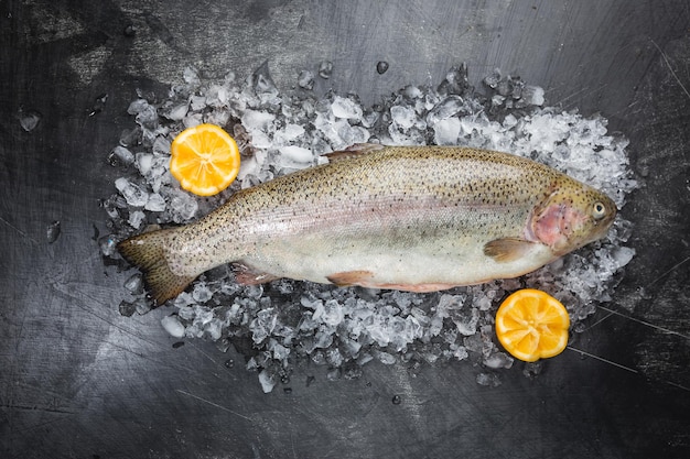 Pescado de trucha cruda sobre hielo con romero y limón sobre fondo oscuro de piedra, vista superior