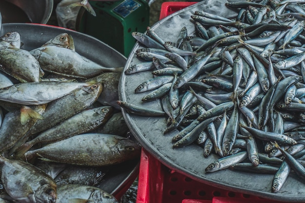 Foto el pescado vivo está en el plato, la gente compra y vende mariscos y verduras en el mercado de comida callejera en asi ...