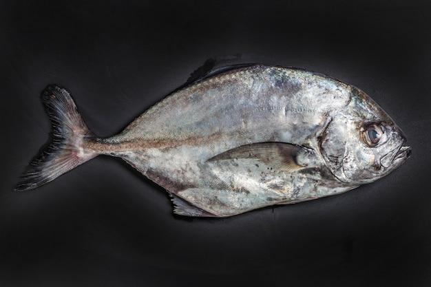 pescado