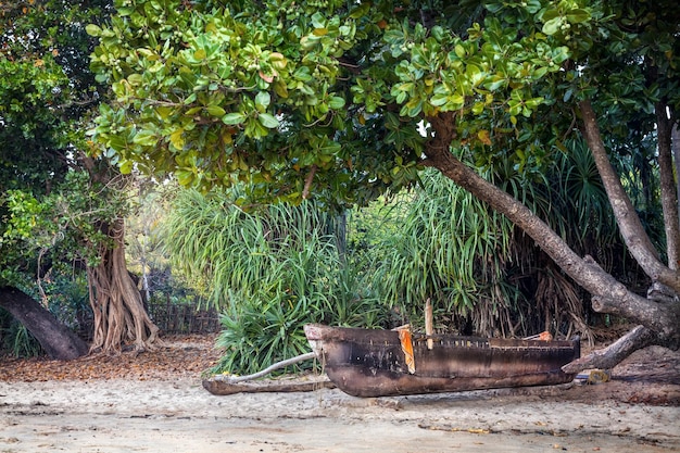 pescador barco