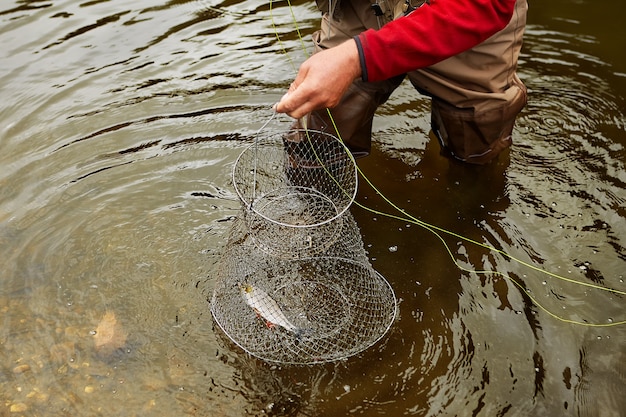 Un pescador colocó pequeños peces de río en una jaula de pesca con alambre y los bajó al agua corriente.