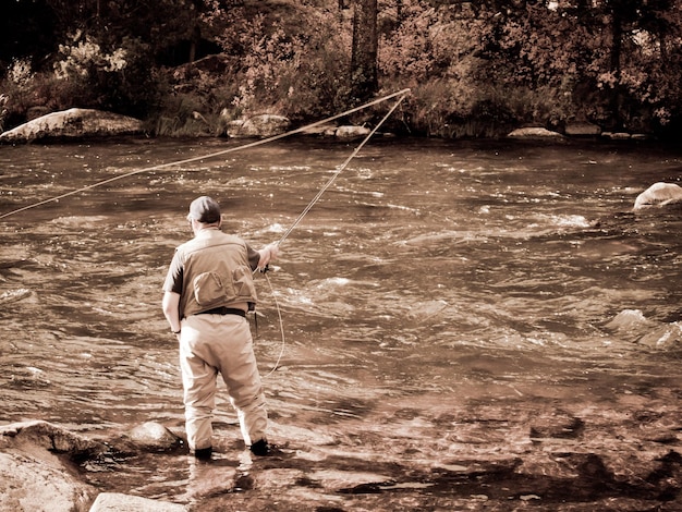 Pescador com mosca em taylor river, colorado.