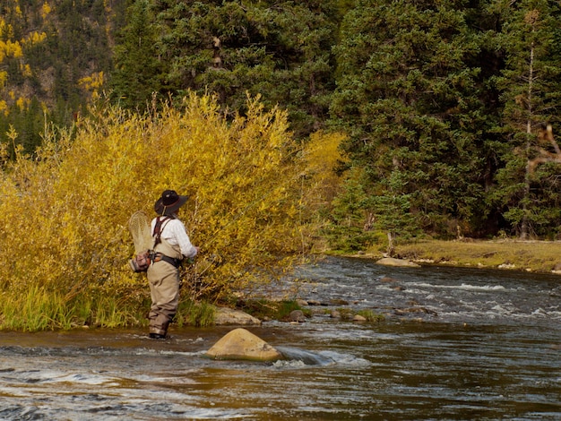 Pescador com mosca em taylor river, colorado.