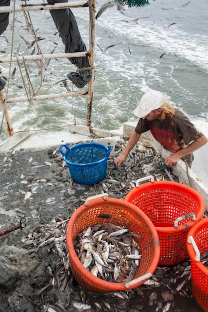 Pescador comercial en el trabajo