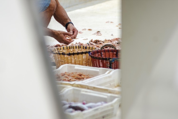 Pescador preparando pescado fresco em recipientes brancos, iguarias do oceano.