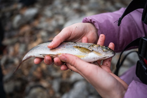 Un pescador sostiene un pez tímalo en su mano