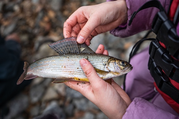 Un pescador sostiene un pez tímalo en su mano