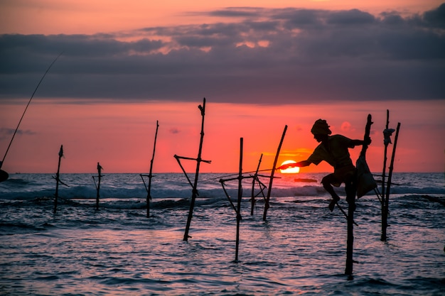 Pescador tradicional de palafitas no Sri Lanka