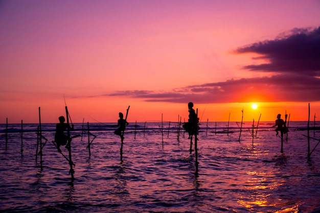 Pescador tradicional sobre pilotes en Sri Lanka