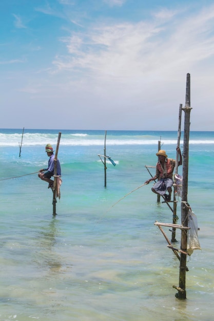 Pescadores en un palo en Sri Lanka