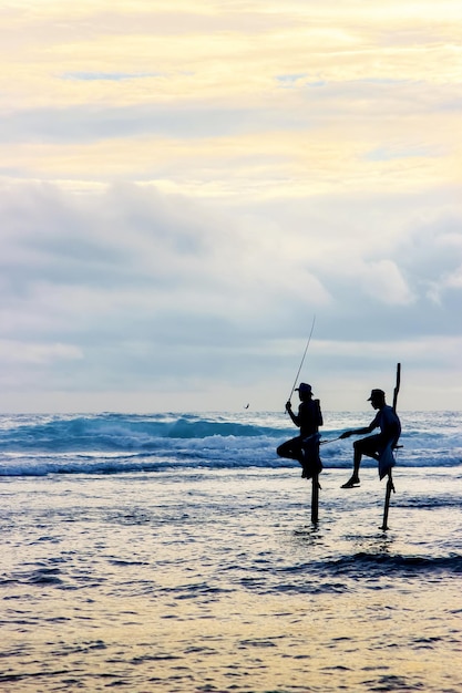 Pescadores tradicionales en palos al atardecer en Sri Lanka