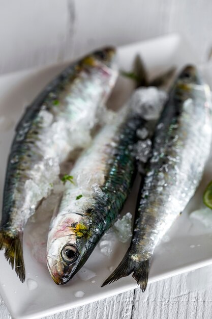 Pescados crudos frescos en el tablero de madera. Fondo. Desde arriba