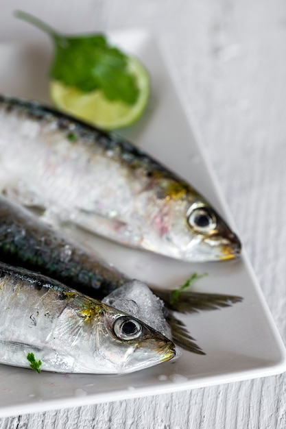 Pescados crudos frescos en el tablero de madera. Fondo. Desde arriba