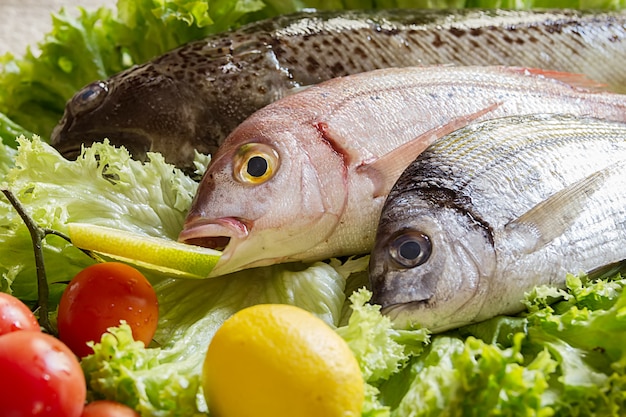 Pescados frescos con algunos ingredientes.