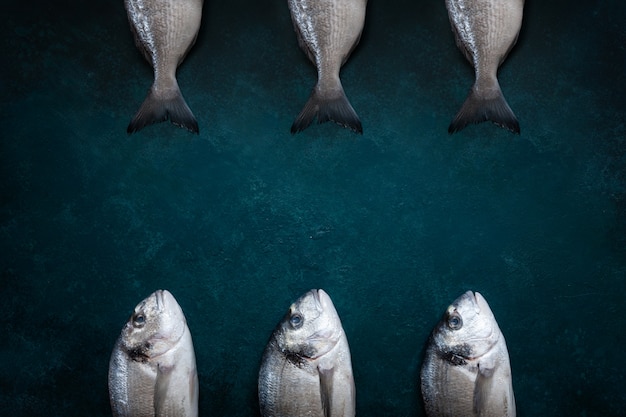 Pescados frescos del dorado en la tabla del azul de mar. Vista superior, copia espacio.