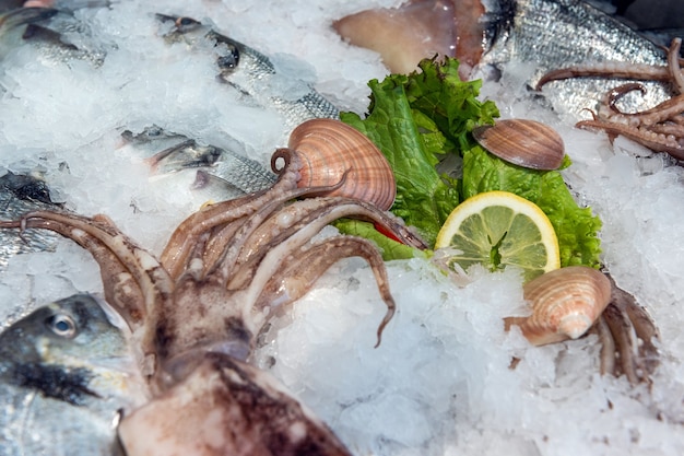 Pescados y mariscos congelados en hielo en el mercado