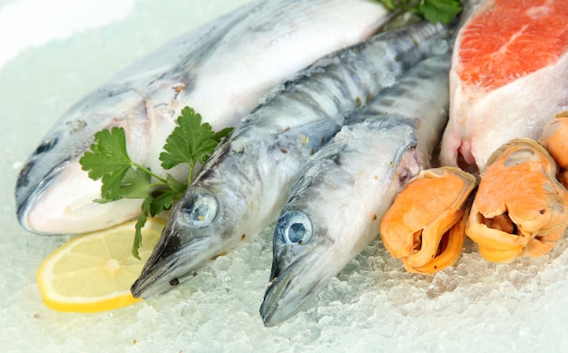 Pescados y mariscos frescos en hielo