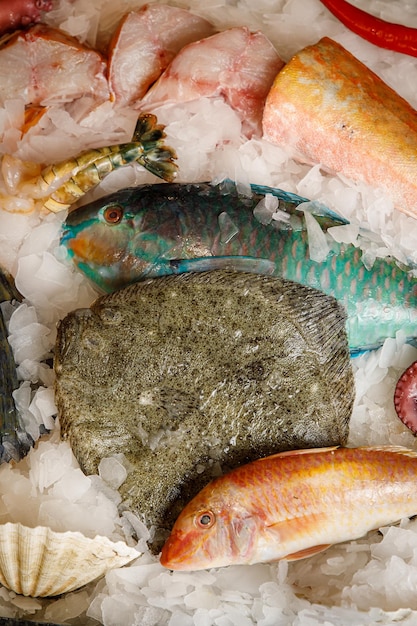 Pescados y mariscos frescos refrigerados en hielo