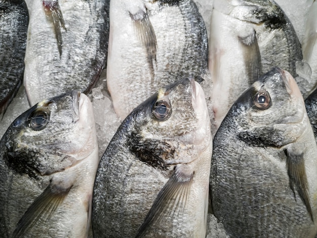 Pescados sanos y deliciosos.