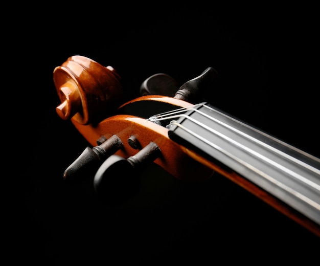 Pescoço de violino escuro