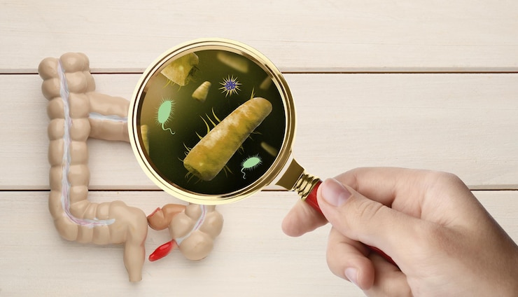 Foto pesquisa de microrganismos mulher com lupa e modelo anatômico do intestino na vista superior do fundo branco de madeira
