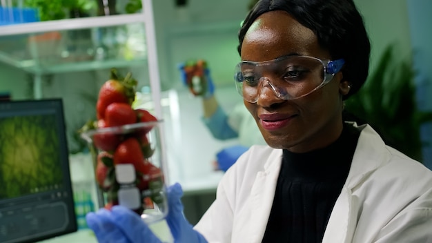 Pesquisador africano olhando para o vidro com morango saudável, examinando o teste de ecologia. Em segundo plano, seu colega verificando frutas injetadas enquanto trabalhava no laboratório de microbiologia