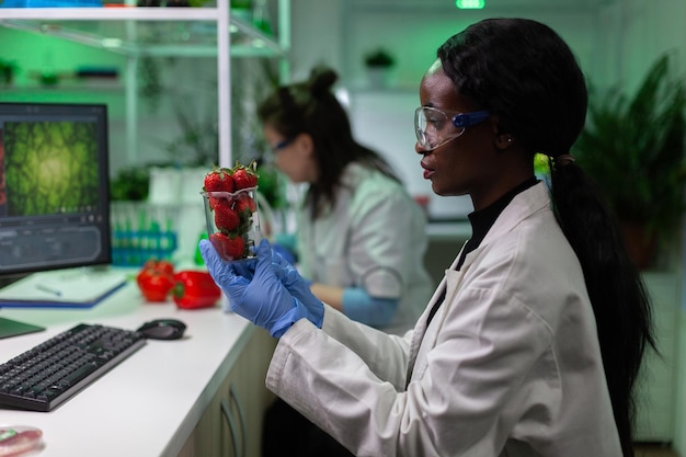 Pesquisador químico americano africano olhando morango, trabalhando no experimento de bioquímica no laboratório do hospital. Equipe multiétnica de cientistas examinando frutas geneticamente modificadas em laboratório