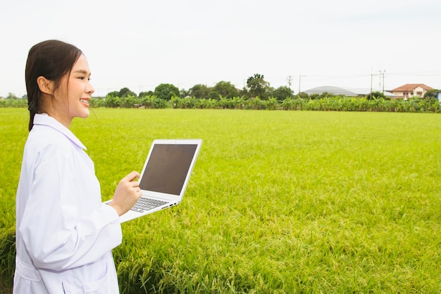 Pesquisadora de ciências agrícolas asiáticas com laptop examina campos desenvolvem variedades de arroz.