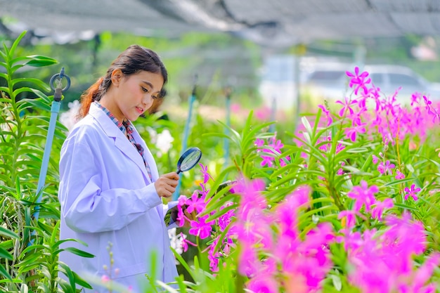 Pesquisadores da orquídea feminina estão explorando e documentando as características das orquídeas