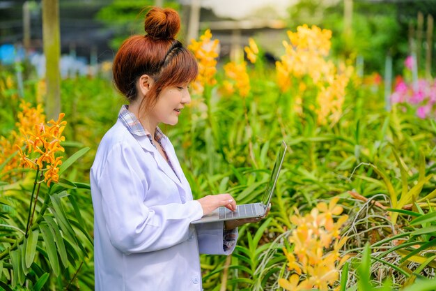 Pesquisadores da Orquídea Feminina estão explorando e documentando as características das orquídeas