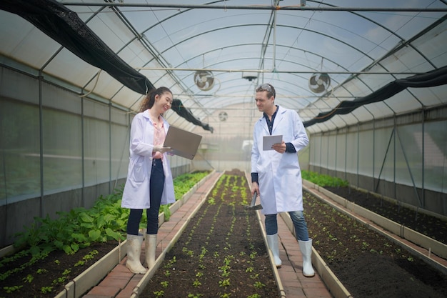 Pesquisadores de agricultura ecológica de agricultores orgânicos na fazenda orgânica inteligente Tecnologia agrícola inovadora