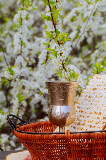 Pessach matzo passover com vinho e matzoh pão de Páscoa judaica