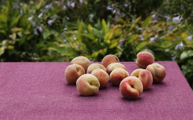 Pêssegos maduros estão espalhados em uma mesa coberta com uma toalha de mesa em uma mesa no jardim