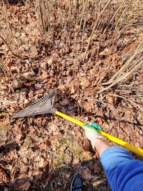 Pessoa ajuntando folhas caídas na ordem de restauração do jardim na rua as folhas caídas são coletadas em uma pilha trabalho do jardineiro melhoria do ancinho na cidade outono trabalho doméstico sazonal