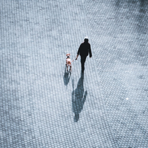 pessoa andando com o cachorro na rua, Bilbao, País Basco, Espanha