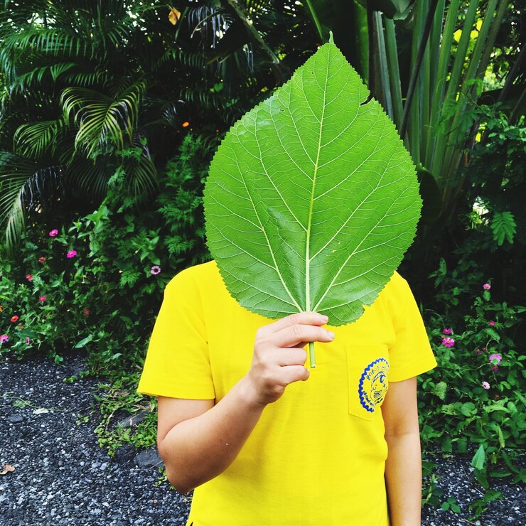 Foto pessoa cobrindo o rosto com uma grande folha verde enquanto está de pé contra as plantas