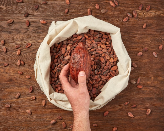 Pessoa com vagem de cacau e saco de feijão