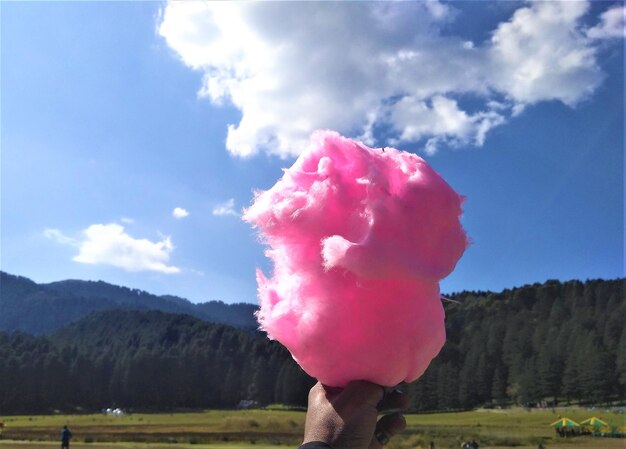 Foto pessoa segurando flores rosa contra o céu