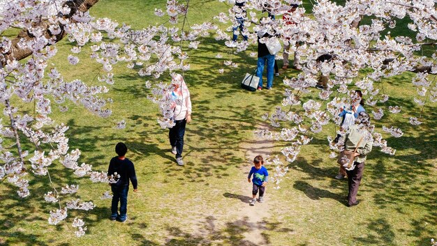 Pessoas a caminhar no parque.