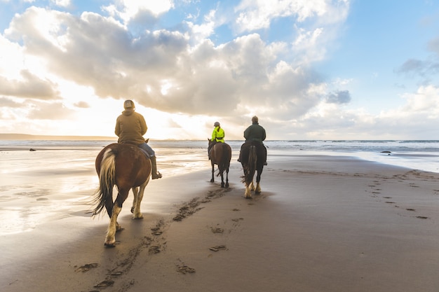 Pessoas a cavalo na praia