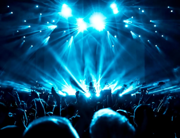 Pessoas a desfrutar de um concerto de música
