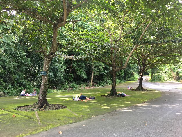 Pessoas a relaxar no parque.